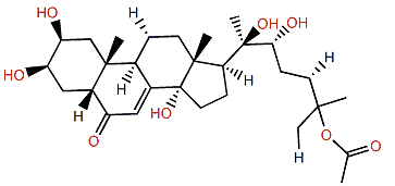 Viticosterone E
